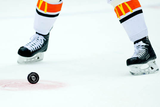En hockeypuck