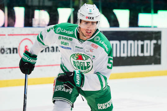 Rögles Alen Bibic