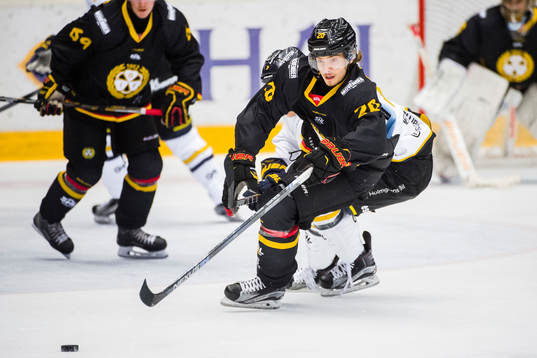 Brynäs Adam Brodecki