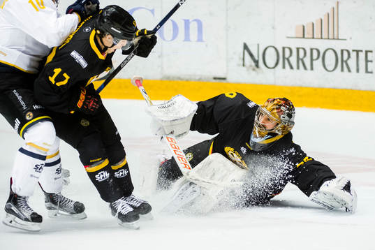 Brynäs målvakt Bernhard Starkbaum