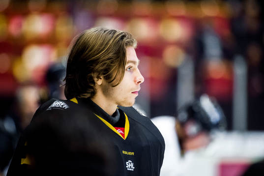 Brynäs målvakt Felix Sandström