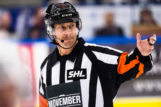 Domare Sören Persson