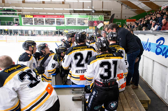Panterns lag har tagit time out