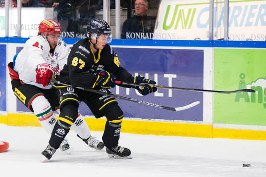 Bläddra bland fler bilder av Ishockey, SHL, HV71 - Modo