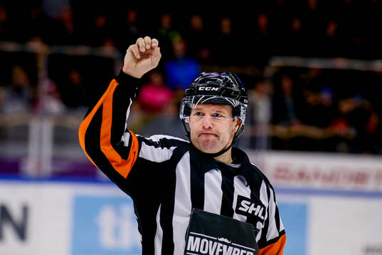 Domaren Wolmer Edqvist