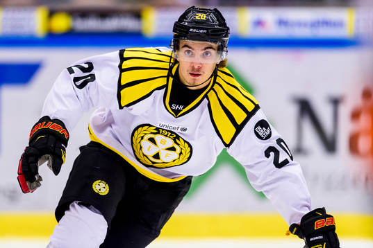 Brynäs Adam Brodecki