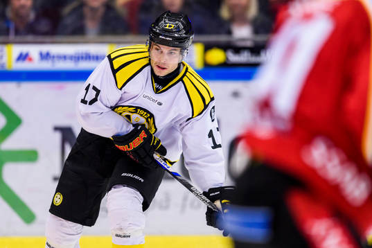 Brynäs Pathrik Westerholm