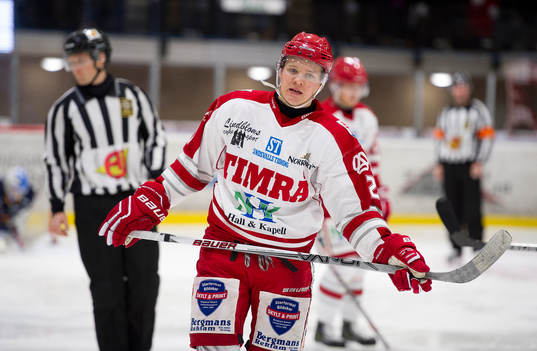 under ishockeymatchen i Hockeyallsvenskan mellan Sundsvall