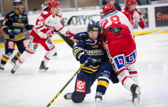 under ishockeymatchen i Hockeyallsvenskan mellan Sundsvall