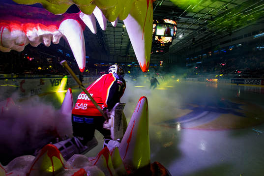 Luleå Hockey gör entré genom björngapet