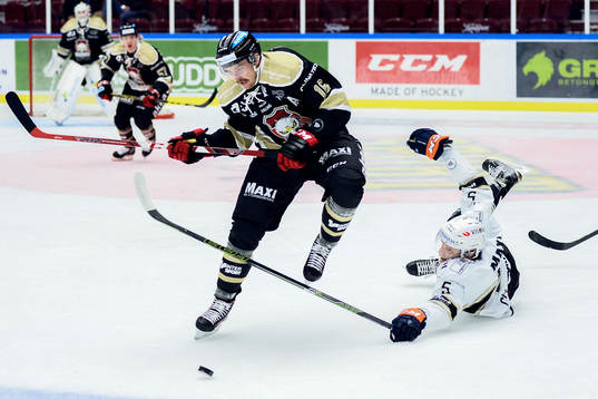 Malmö Redhawks Magnus Häggström