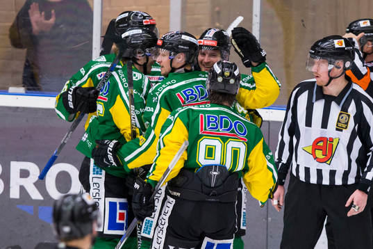Björklöven jublar