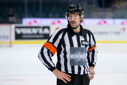 Domare Mikael Sjöqvist