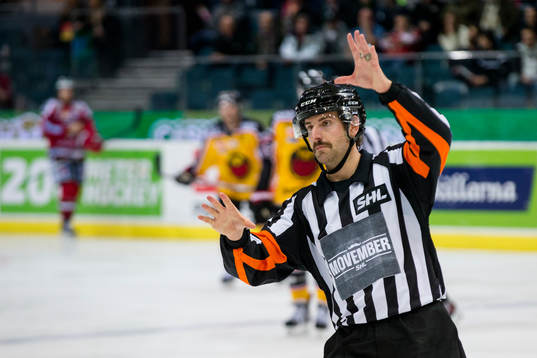 Domare Mikael Sjöqvist