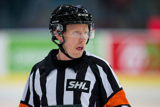 Domare Mikael Holm