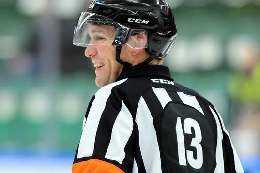 Domare Morgan Johansson