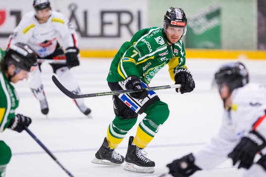 Björklövens Brock Trotter