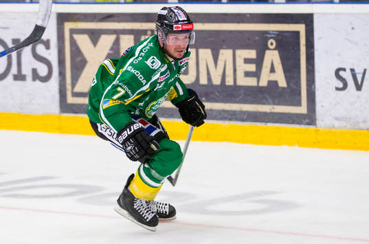Björklövens Brock Trotter