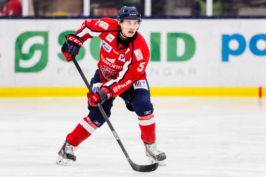 Helsingborgs Anton Santesson