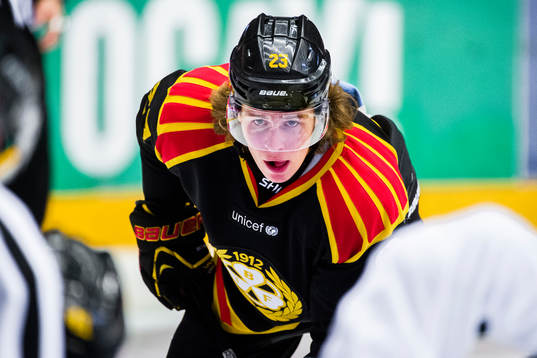 Brynäs Lucas Carlsson