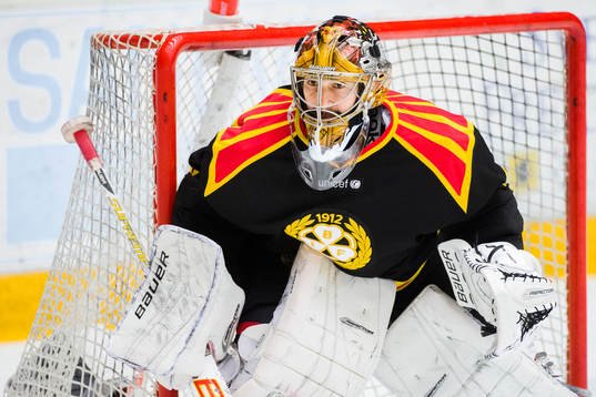 Brynäs målvakt Bernhard Starkbaum