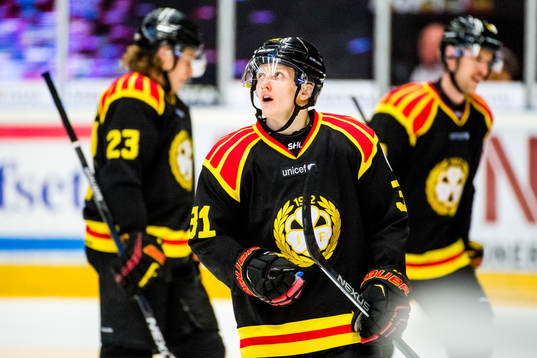 Brynäs Daniel Mannberg