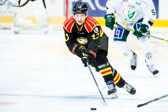 Brynäs Pathrik Westerholm