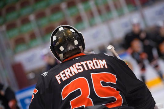 Ryggtavla på Karlskronas målvakt Linus Fernström