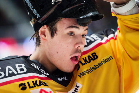Luleås målvakt Samuel Ward