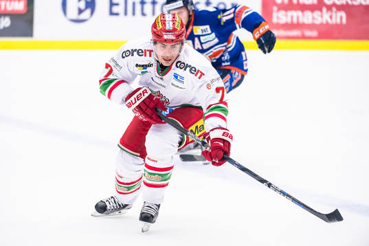 Modos Niklas Torp