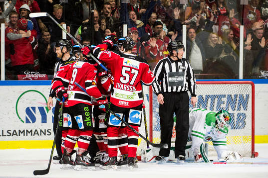 Malmö Redhawks spelare jublar