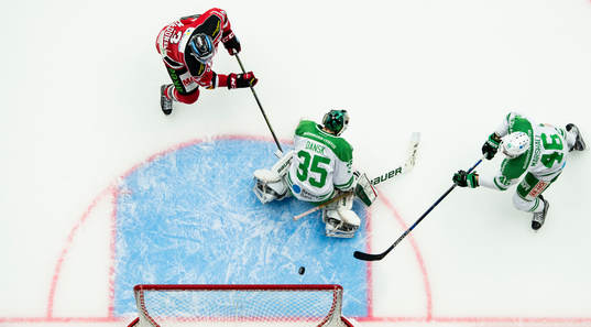Malmö Redhawks Kent McDonell oroar framför Rögles