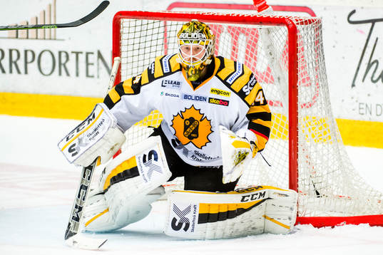 Skellefteås målvakt Erik Hanses