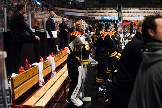 Brynäs målvakt Felix Sandström i båset