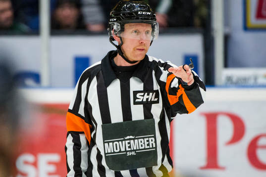 Domare Mikael Holm