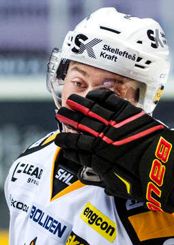 Brynäs Daniel Mannberg irriterar Skellefteås Pär Lindholm