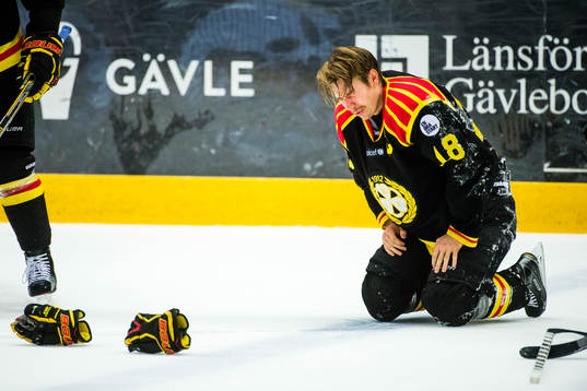 Brynäs Anton Rödin deppar