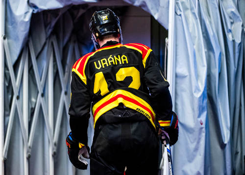 Brynäs Petr Vrana lämnar isen