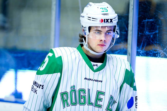 Rögles Ludvig Elvenes