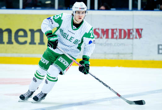 Rögles Ludvig Elvenes