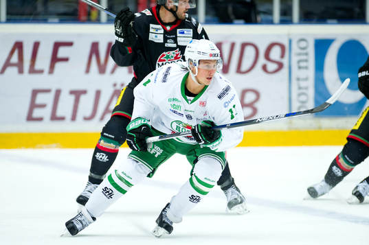 Rögles David Åslin