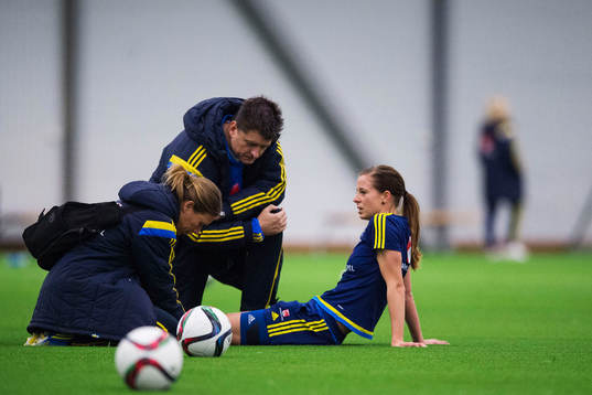 Lotta Schelin får vård