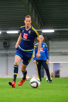 Lotta Schelin