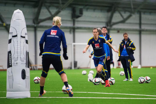 Lotta Schelin