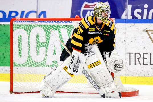 Skellefteås målvakt Markus Svensson