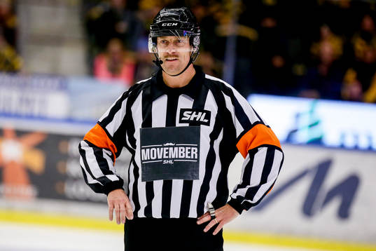 Domaren Sören Persson
