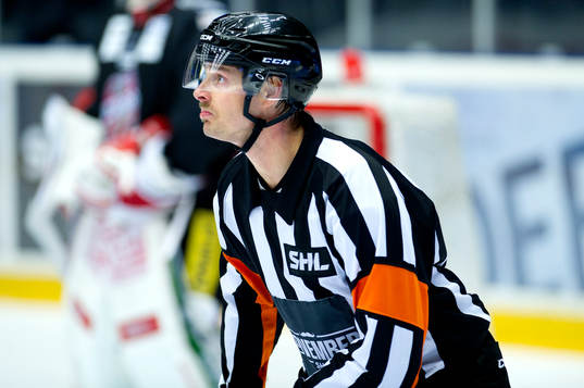 domaren Mikael Andersson