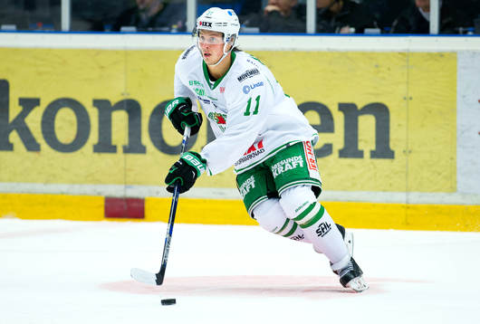 Rögles David Åslin