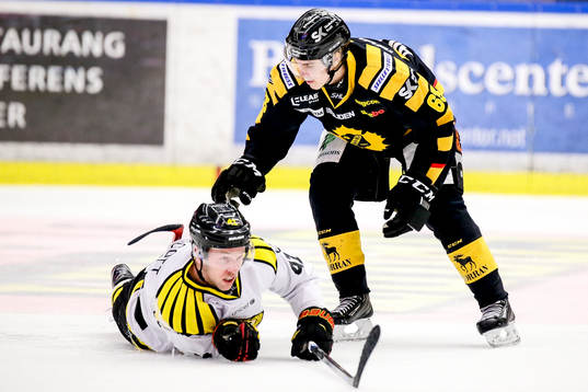Skellefteås Sebastian Aho