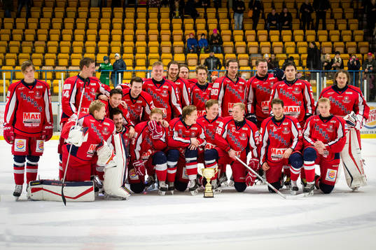 Hanhals seriesegrare i hockeytvåan södra